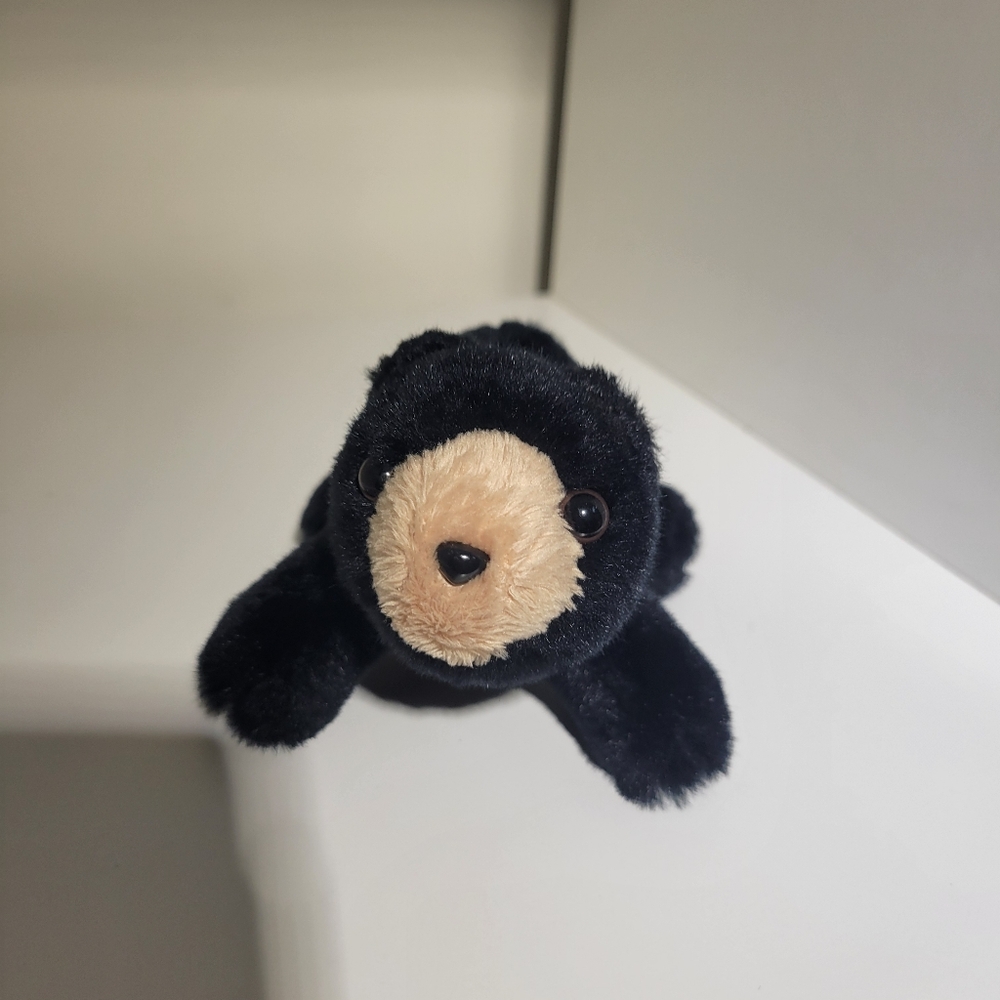 Folkmanis Finger Puppet Plush Black Bear